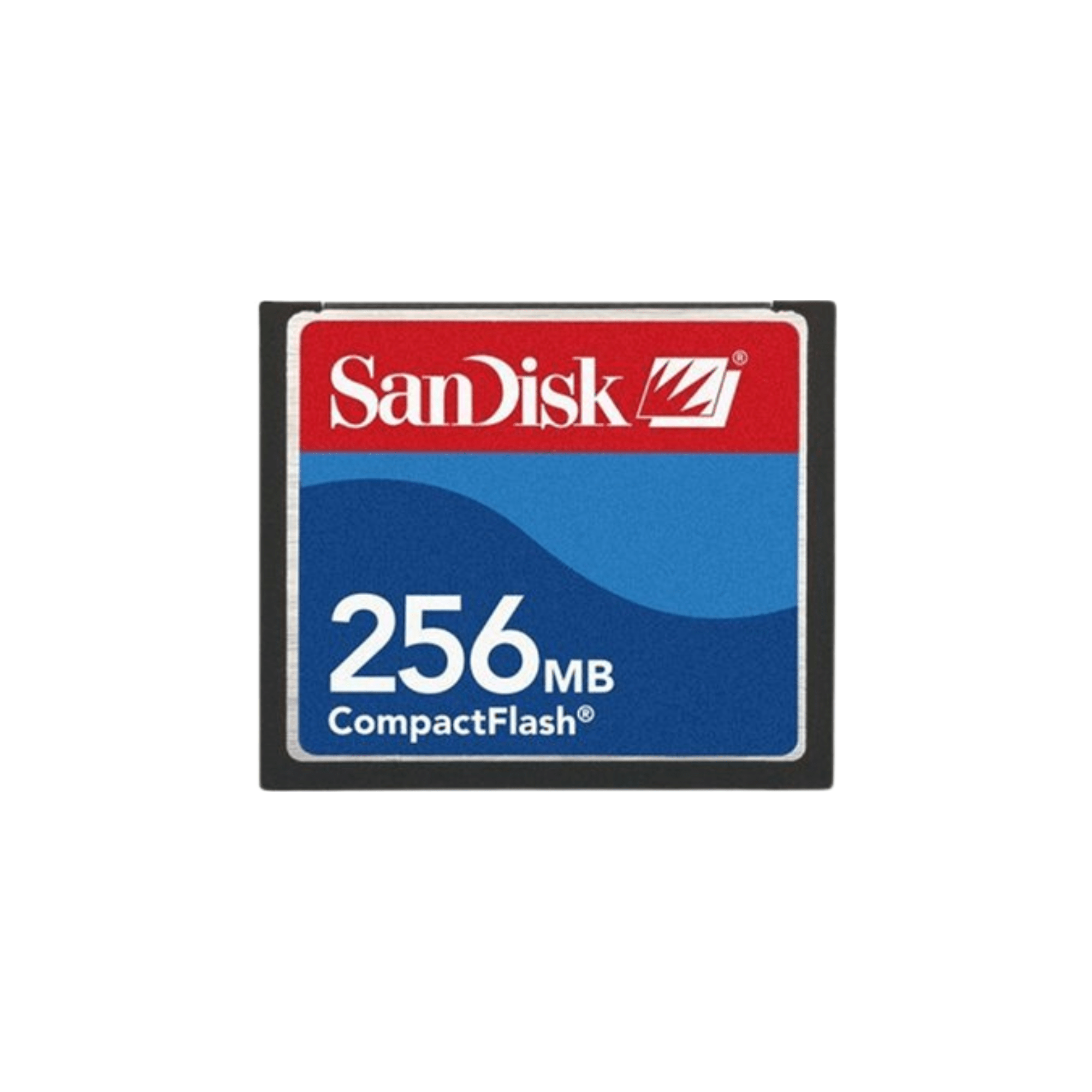 CompactFlash memory card 256MB - Dutch|Thrift